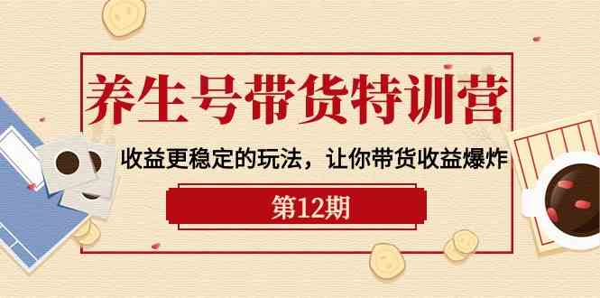 （10110期）养生号带货特训营【12期】收益更稳定的玩法，让你带货收益爆炸-9节直播课-创客商