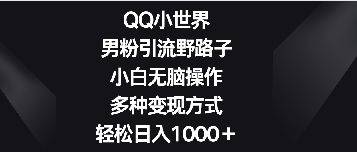 QQ小世界男粉引流野路子，小白无脑操作，多种变现方式轻松日入1000＋-赚客网赚