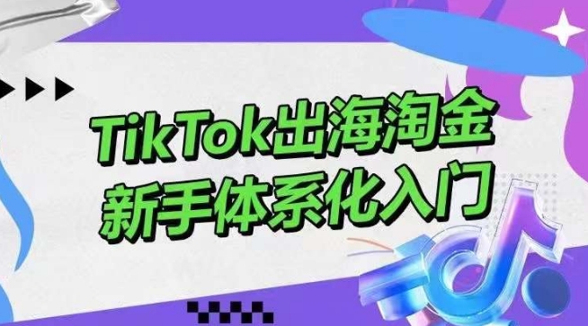 TikTok出海淘金，新手体系化入门，零基础快速入门，掌握短视频、直播带货等引流到变现的知识-简创网