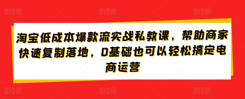 淘宝低成本爆款流实战私教课，帮助商家快速复制落地，0基础也可以轻松搞定电商运营-简创网