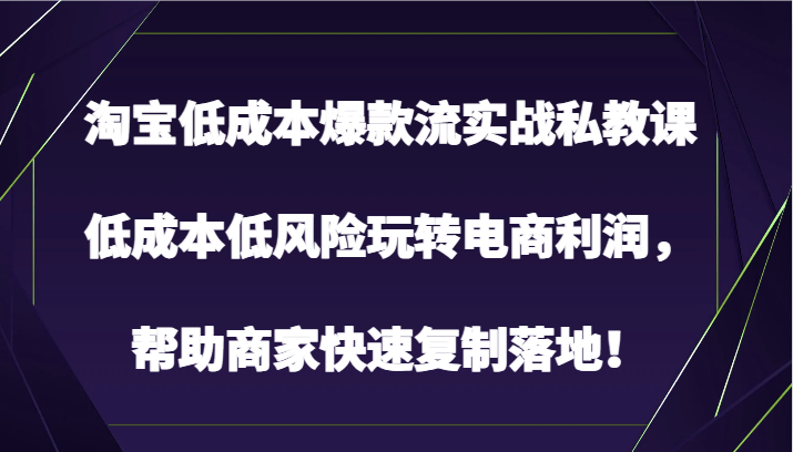 淘宝低成本爆款流实战私教课，低成本低风险玩转电商利润，帮助商家快速复制落地！-创客商