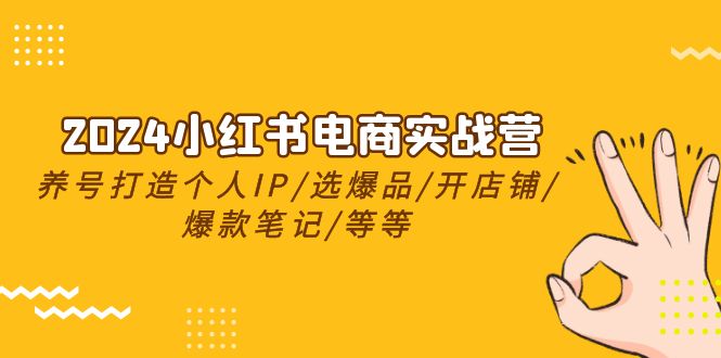 （10376期）2024小红书电商实战营，养号打造IP/选爆品/开店铺/爆款笔记/等等（24节）-创客商