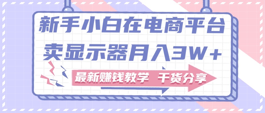 （11053期）新手小白如何做到在电商平台卖显示器月入3W+，最新赚钱教学干货分享-创客商