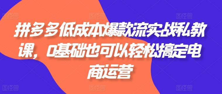 拼多多低成本爆款流实战私教课，0基础也可以轻松搞定电商运营-创客商