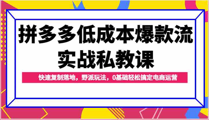 拼多多低成本爆款流实战私教课，快速复制落地，野派玩法，0基础轻松搞定电商运营-创客商