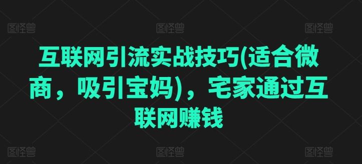 互联网引流实战技巧(适合微商，吸引宝妈)，宅家通过互联网赚钱-简创网