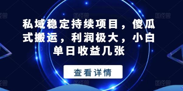 私域稳定持续项目，傻瓜式搬运，利润极大，小白单日收益几张【揭秘】-创客商