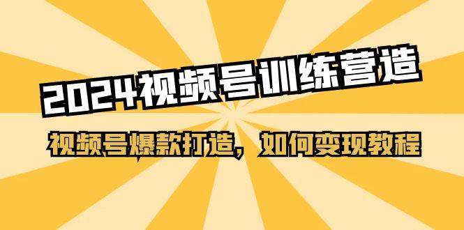 （11135期）2024视频号训练营，视频号爆款打造，如何变现教程（20节课）-创客商