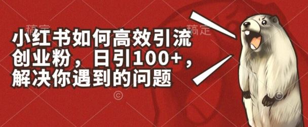 小红书如何高效引流创业粉，日引100+，解决你遇到的问题【揭秘】-创客商