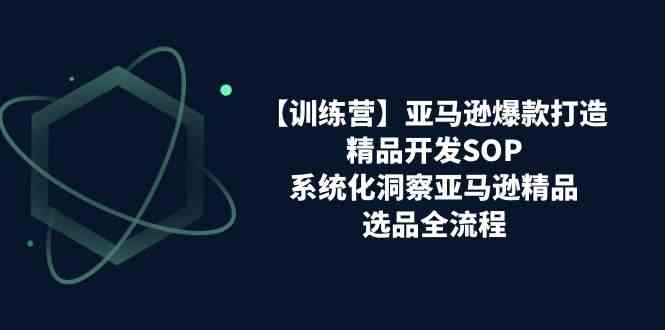 亚马逊爆款打造之精品开发SOP【训练营】，系统化洞察亚马逊精品选品全流程-创客商