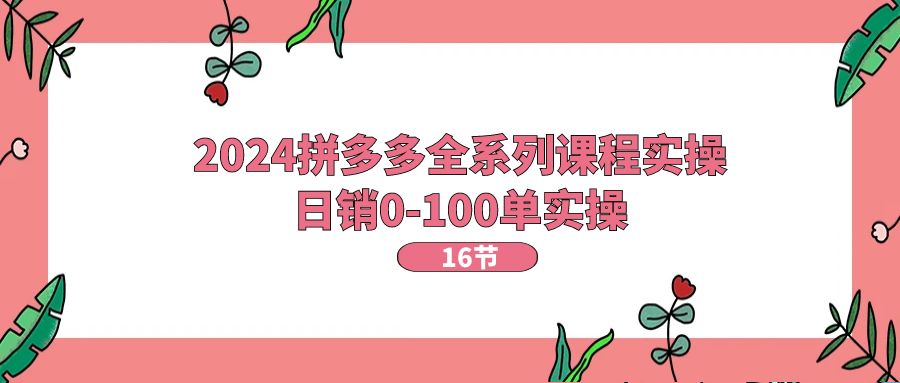 （11222期）2024拼多多全系列课程实操，日销0-100单实操【16节课】-创客商