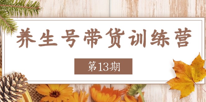 （11275期）养生号-带货训练营【第13期】收益更稳定的玩法，让你带货收益爆炸-简创网