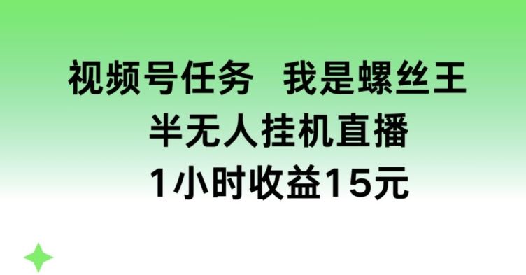 视频号任务，我是螺丝王， 半无人挂机1小时收益15元【揭秘】-创客商