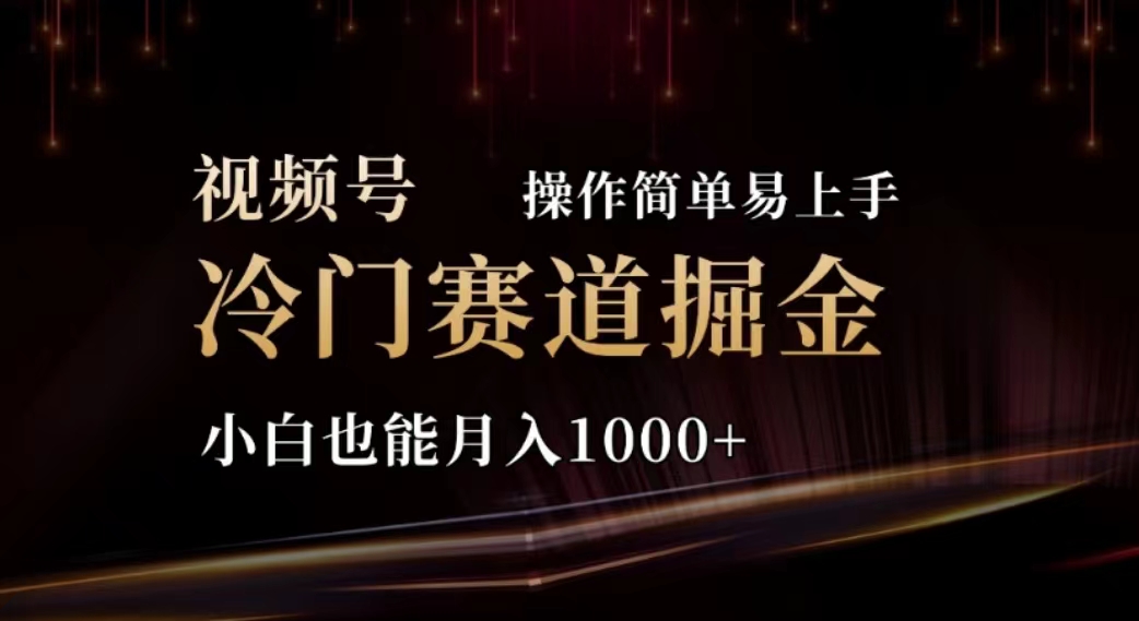 （11378期）2024视频号冷门赛道掘金，操作简单轻松上手，小白也能月入1000+-简创网