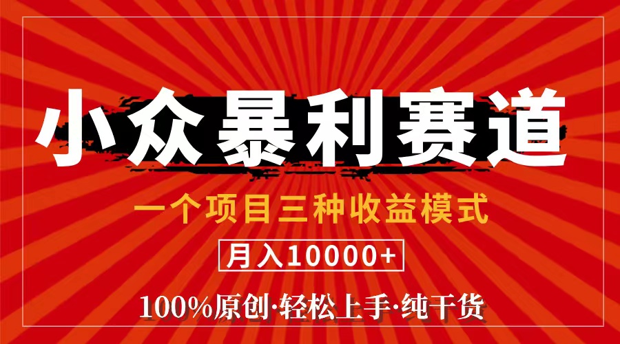 （11695期）视频号【中老年粉深信不疑】小众赛道 100%原创 手把手教学 新号3天收益…-创客商