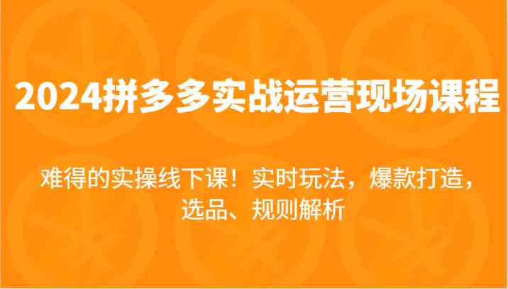 2024拼多多实战运营现场课，实时玩法，爆款打造，选品、规则解析，难得的实操线下课！-创客商