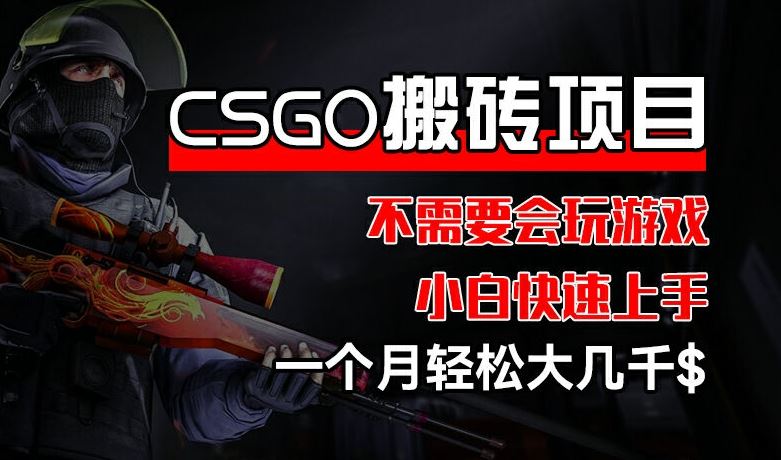 CSGO 装备搬砖项目，操作简单，不需要会玩游戏，小白也能快速上手，一个月轻松大几千【揭秘】-简创网