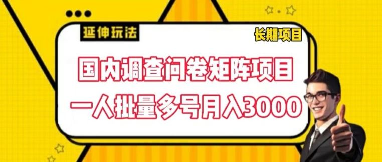 国内调查问卷矩阵项目，一人批量多号月入3000【揭秘】-简创网