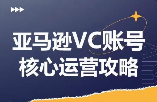 亚马逊VC账号核心玩法解析，实战经验拆解产品模块运营技巧，提升店铺GMV，有效提升运营利润-创客商