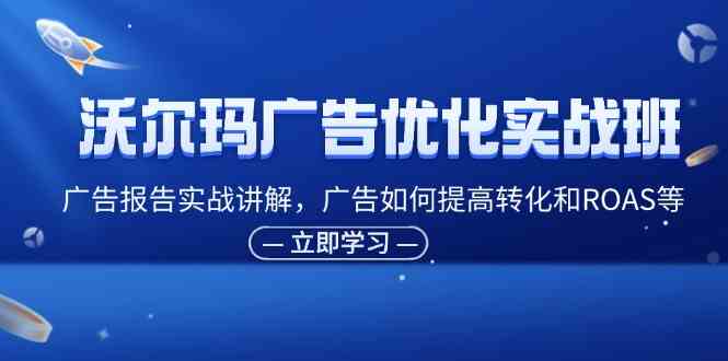 沃尔玛广告优化实战班，广告报告实战讲解，广告如何提高转化和ROAS等-创客商