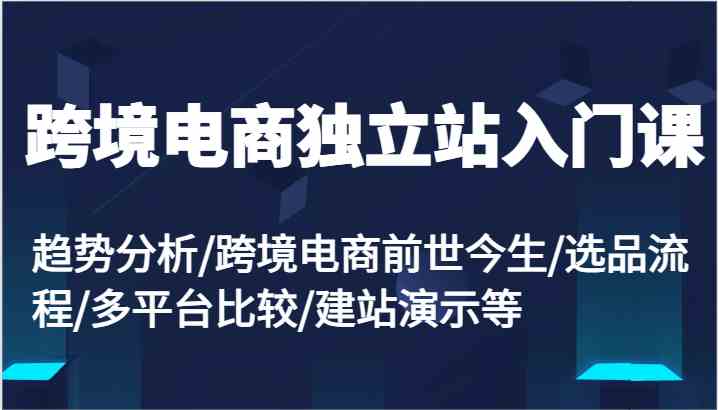 跨境电商独立站入门课：趋势分析/跨境电商前世今生/选品流程/多平台比较/建站演示等-创客商