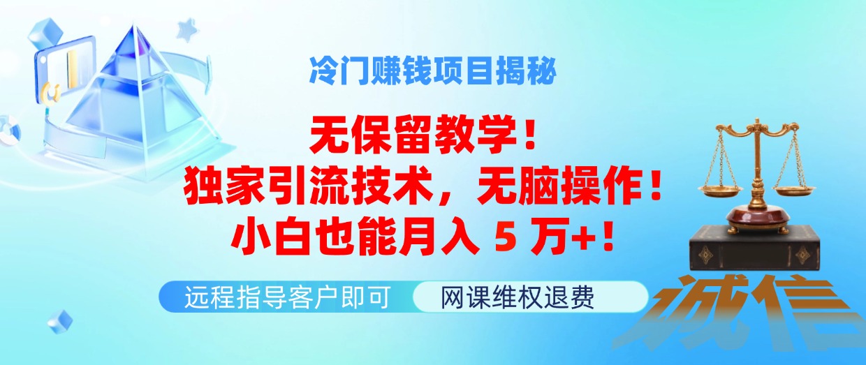 （11864期）冷门赚钱项目无保留教学！独家引流技术，无脑操作！小白也能月入5万+！-创客商