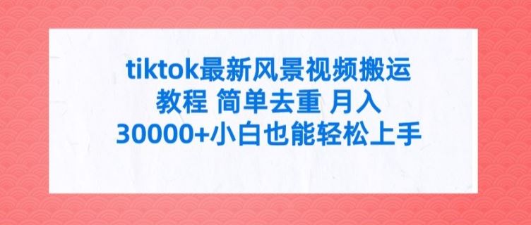 tiktok最新风景视频搬运教程 简单去重 月入3W+小白也能轻松上手【揭秘】-创客商