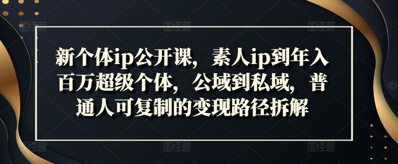 新个体ip公开课，素人ip到年入百万超级个体，公域到私域，普通人可复制的变现路径拆解-创客商