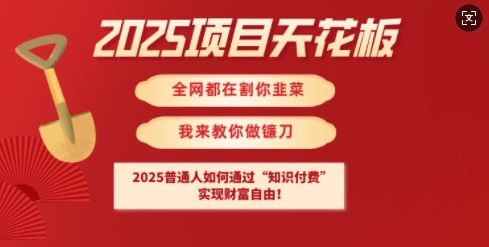 2025项目天花板普通人如何通过知识付费，实现财F自由【揭秘】-创客商