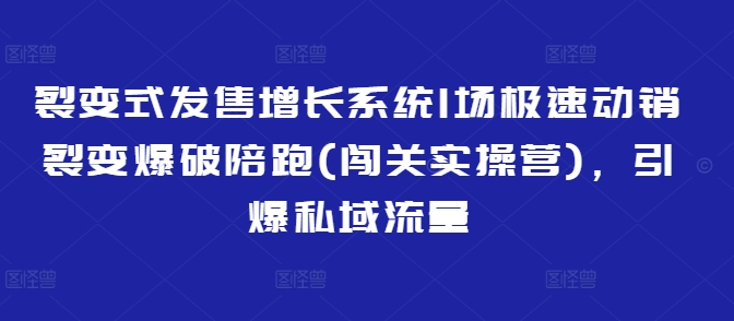 裂变式发售增长系统1场极速动销裂变爆破陪跑(闯关实操营)，引爆私域流量-创客商