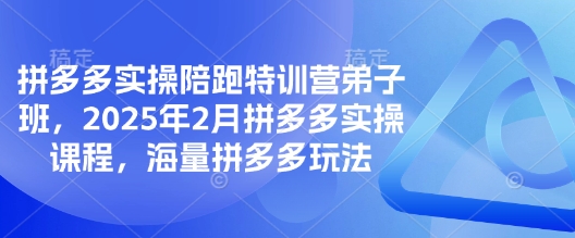 拼多多实操陪跑特训营弟子班，2025年2月拼多多实操课程，海量拼多多玩法-创客商