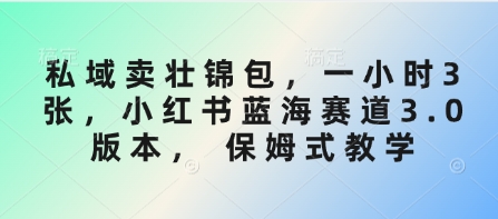 私域卖壮锦包，一小时3张，小红书蓝海赛道3.0版本， 保姆式教学-简创网