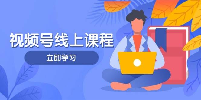 视频号实战课程,轻IP打造与运营技巧,掌握核心方法与策略-赚客网赚