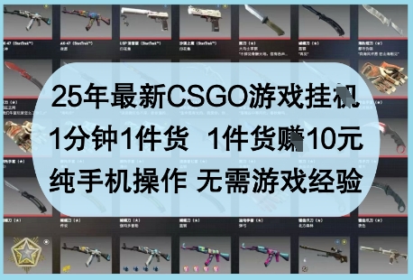 25年最新CSGO游戏挂G,1分钟1件货,1件货挣10元,纯手机操作,无需游戏经验【揭秘】-赚客网赚