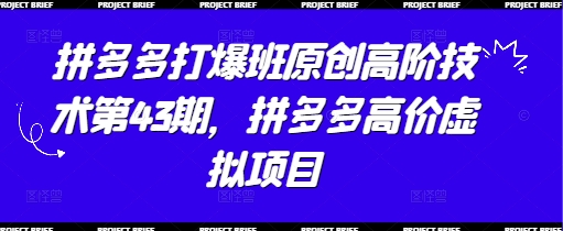 拼多多打爆班原创高阶技术第43期，拼多多高价虚拟项目-赚客网赚