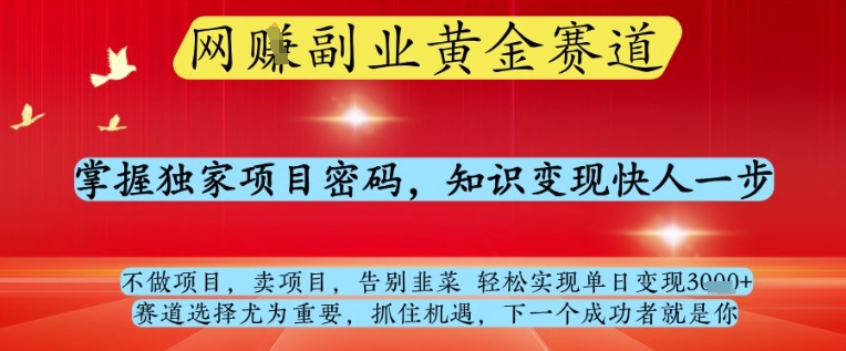 网创副业黄全赛道，掌握独家项目密码，知识变现快人一步，告别韭菜轻松实现单日变现1k+【揭秘】-赚客网赚