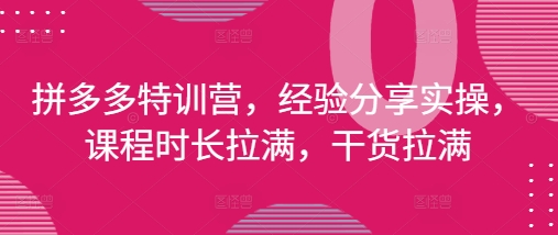 拼多多特训营,经验分享实操,课程时长拉满,干货拉满(更新25年4月)-赚客网赚