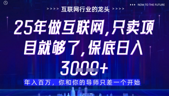 什么！25年你还在找项目做？风口早就变了，卖项目才是稳挣不赔【揭秘】-赚客网赚