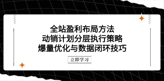 全站盈利布局方法：动销计划分层执行策略，爆量优化与数据闭环技巧-赚客网赚