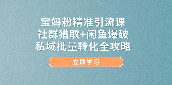 宝妈粉精准引流课，社群猎取+闲鱼爆破，私域批量转化全攻略-赚客网赚