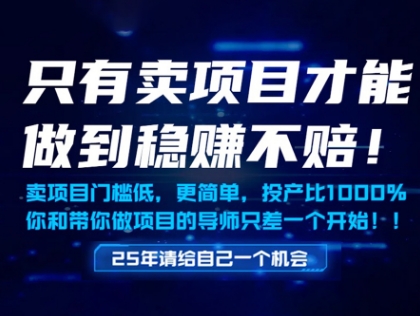 只有卖项目才能做到稳挣不赔，门槛低，更简单，你也可以年入百个W【揭秘】-赚客网赚