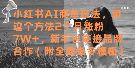 小红书AI商单玩法，用这个方法2个月涨粉7W+，新手也能接品牌合作(附全套指令模板)-赚客网赚