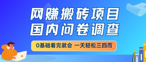 网创搬砖项目，国内问卷调查，小白轻松上手，一天三四张的也不难，干就完了【揭秘】-赚客网赚