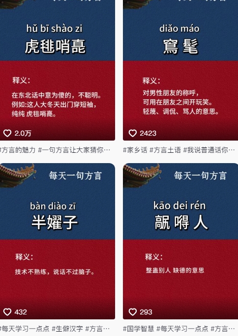 抖音最新涨粉玩法，图文方言暴力涨粉实操，126作品涨粉11W-赚客网赚