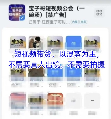 宝子哥头部团队短视频带货，以混剪为主，不需要真人出镜，不需要拍摄【更新】-赚客网赚