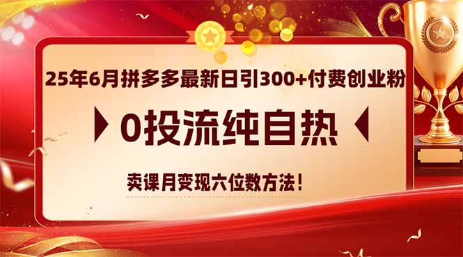 25年6月拼多多最新日引300+付费创业粉，0投流纯自热 卖课月变现六位数方法-赚客网赚