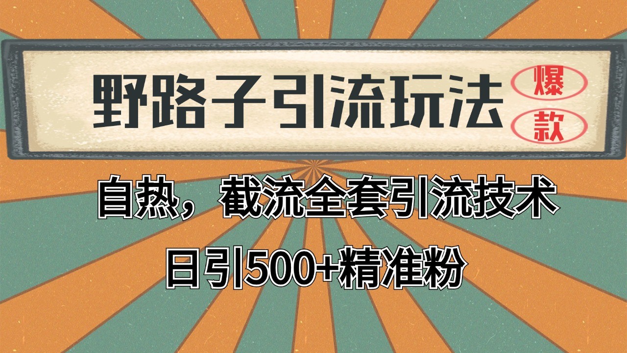 2024首发野路子引流玩法截流自热全平台打法，全自动引流【日引2000+精准客户】-赚客网赚