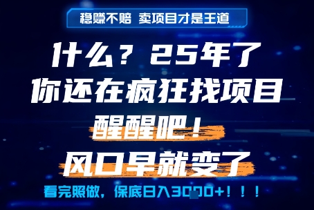 什么？25年你还在疯狂找项目做，醒醒吧，看完这些你全都懂了！【揭秘】-赚客网赚
