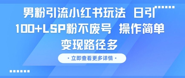 男粉引流小红书玩法，日引100+LSP粉不废号，操作简单，变现路径多-赚客网赚