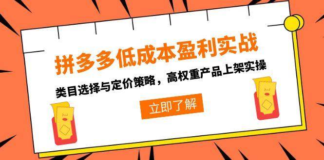 （15143期）拼多多低成本盈利实战，类目选择与定价策略，高权重产品上架实操-赚客网赚